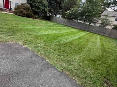 Lawn Care service in Fairfax, 22030
