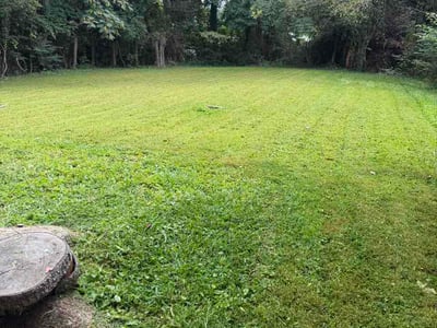 Lawn Care service in Fairfax, 22030