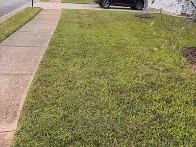 Lawn Care service in Acworth, 30101
