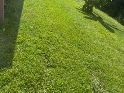 Lawn Care service in Fairfax, 22030