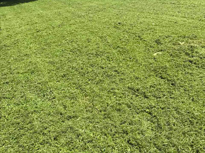 Lawn Care service in Coweta, 74429