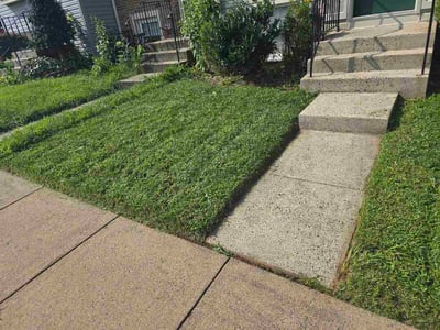 Lawn Care service in Fairfax, 22030