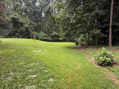 Lawn Care service in Fairfax, 22030