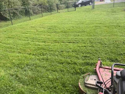 Lawn Care service in Fairfax, 22030