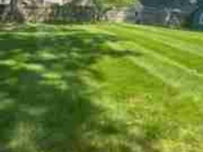 Lawn Care service in Fairfax, 22030