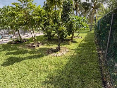 Lawn Care service in Wellington, 33414