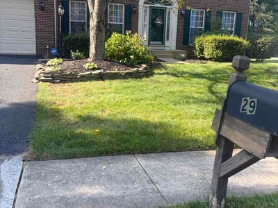 Lawn Care service in Stafford, 22554
