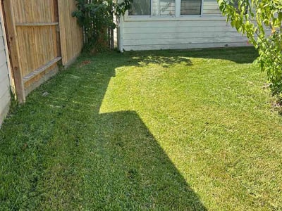 Lawn Care service in Freeport, 77541