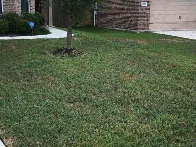 Lawn Care service in Freeport, 77541