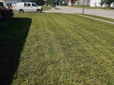 Lawn Care service in Lebanon, 46052