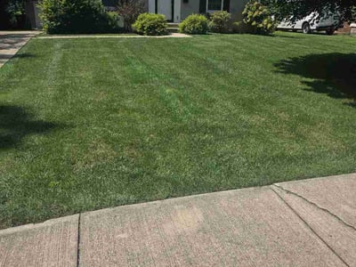 Lawn Care service in Lebanon, 46052