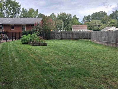 Lawn Care service in Petersburg, 23803
