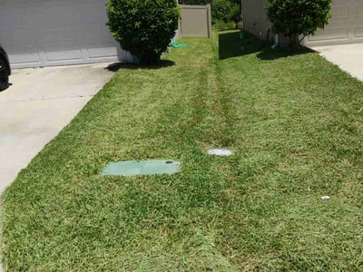 Lawn Care service in Odessa, 33556