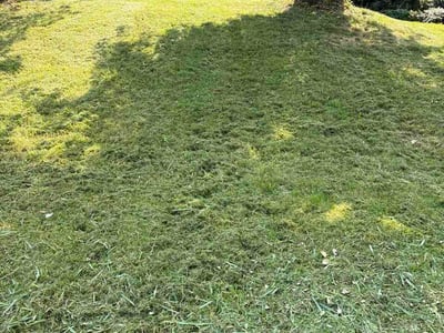 Lawn Care service in Pacific, 63069