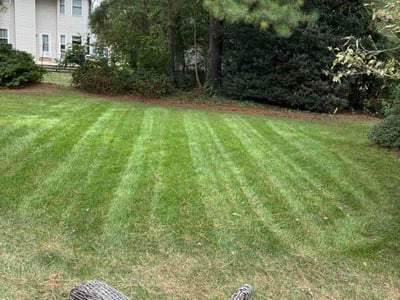 Lawn Care service in Hayes, 23072