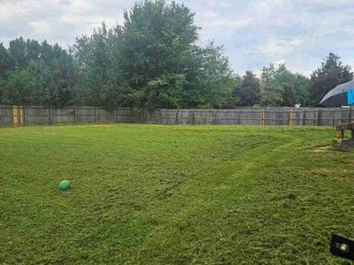 Lawn Care service in Warr Acres, 73179