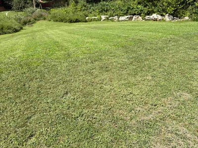 Lawn Care service in Springfield, 65806