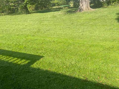 Lawn Care service in Springfield, 65806