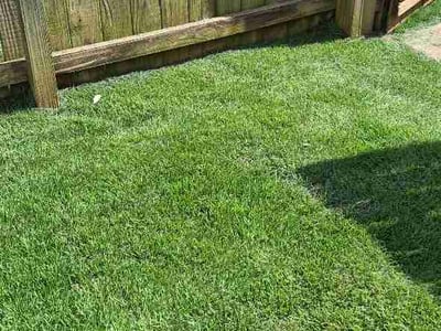 Lawn Care service in Madison, 35758