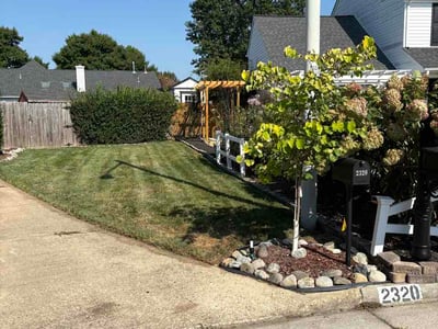Lawn Care service in Virginia Beach, 23451