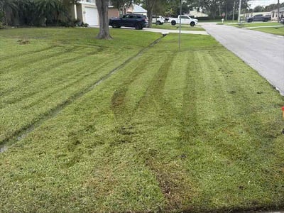 Lawn Care service in Palm City, 34990