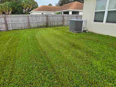 Lawn Care service in Palm City, 34990