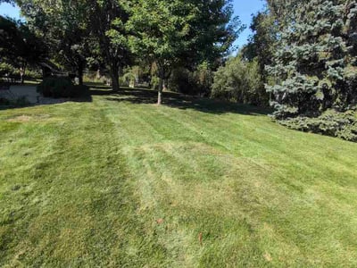 Lawn Care service in Lakeville, 55044
