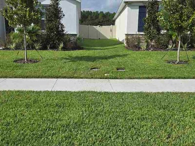 Lawn Care service in Tarpon Springs, 34689