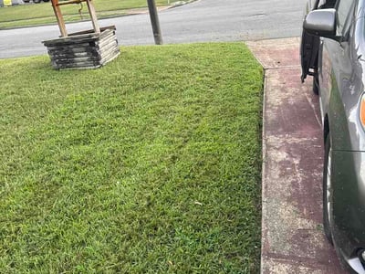 Lawn Care service in Henrico, 23294