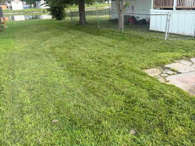 Lawn Care service in Fenton, 63026