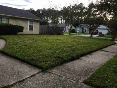 Lawn Care service in Paradise, 89119