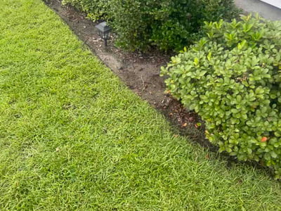 Lawn Care service in Paradise, 89119