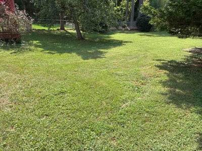 Lawn Care service in Decatur, 30030