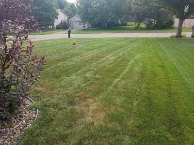 Lawn Care service in Saint Michael, 55376