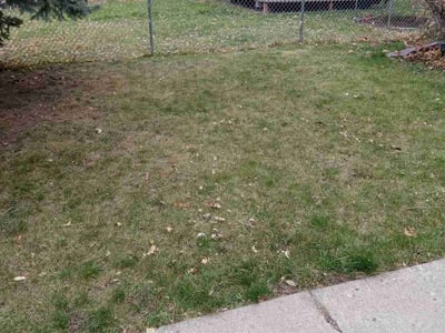 Lawn Care service in Minnetonka, 55345