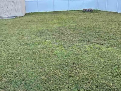 Lawn Care service in Culpeper, 22701