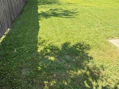 Lawn Care service in Toano, 23168