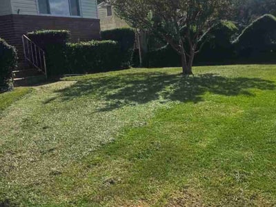 Lawn Care service in Toano, 23168