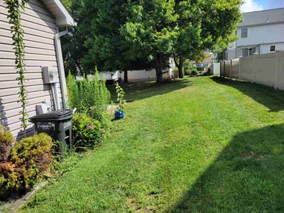 Lawn Care service in York, 17401