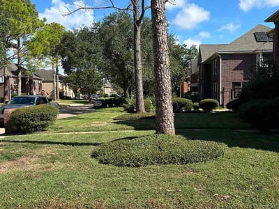 Lawn Care service in Sugar Land, 77479
