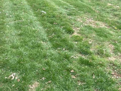 Lawn Care service in New Lexington, 43764