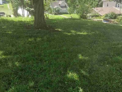 Lawn Care service in Farmington, 84025