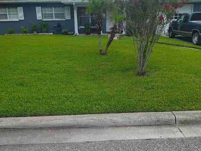 Lawn Care service in Hunters Creek, 32837