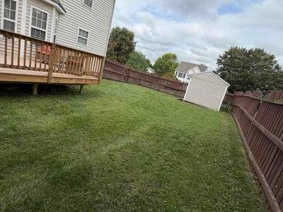 Lawn Care service in Richmond, 23219