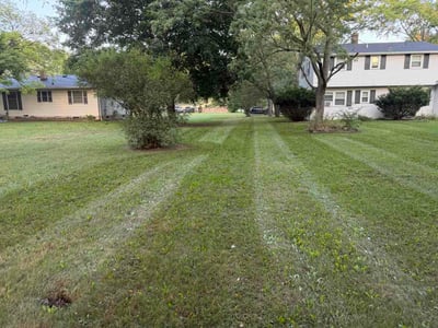 Lawn Care service in Flushing, 48433