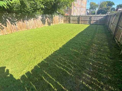 Lawn Care service in Richmond, 23219