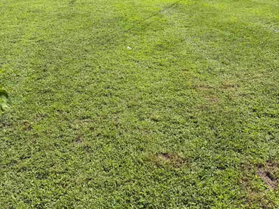 Lawn Care service in Gladstone, 64118