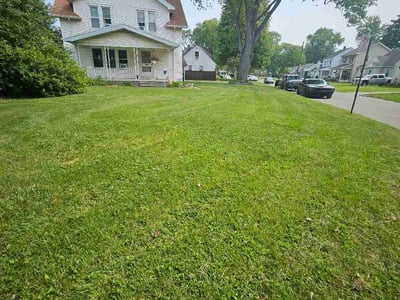 Lawn Care service in Holland, 43528