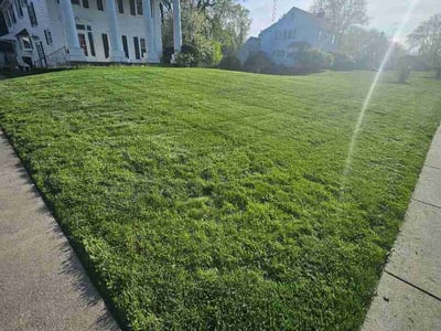 Lawn Care service in Holland, 43528