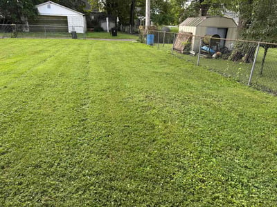 Lawn Care service in Granite City, 65401